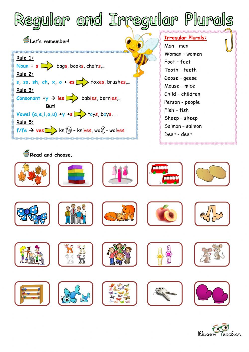 Irregular Nouns Worksheet for Kids and English Learners