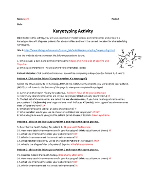 Karyotyping Activity Mb 1 Answer Key Name Zahi Period Date Karyotyping Activity Directions