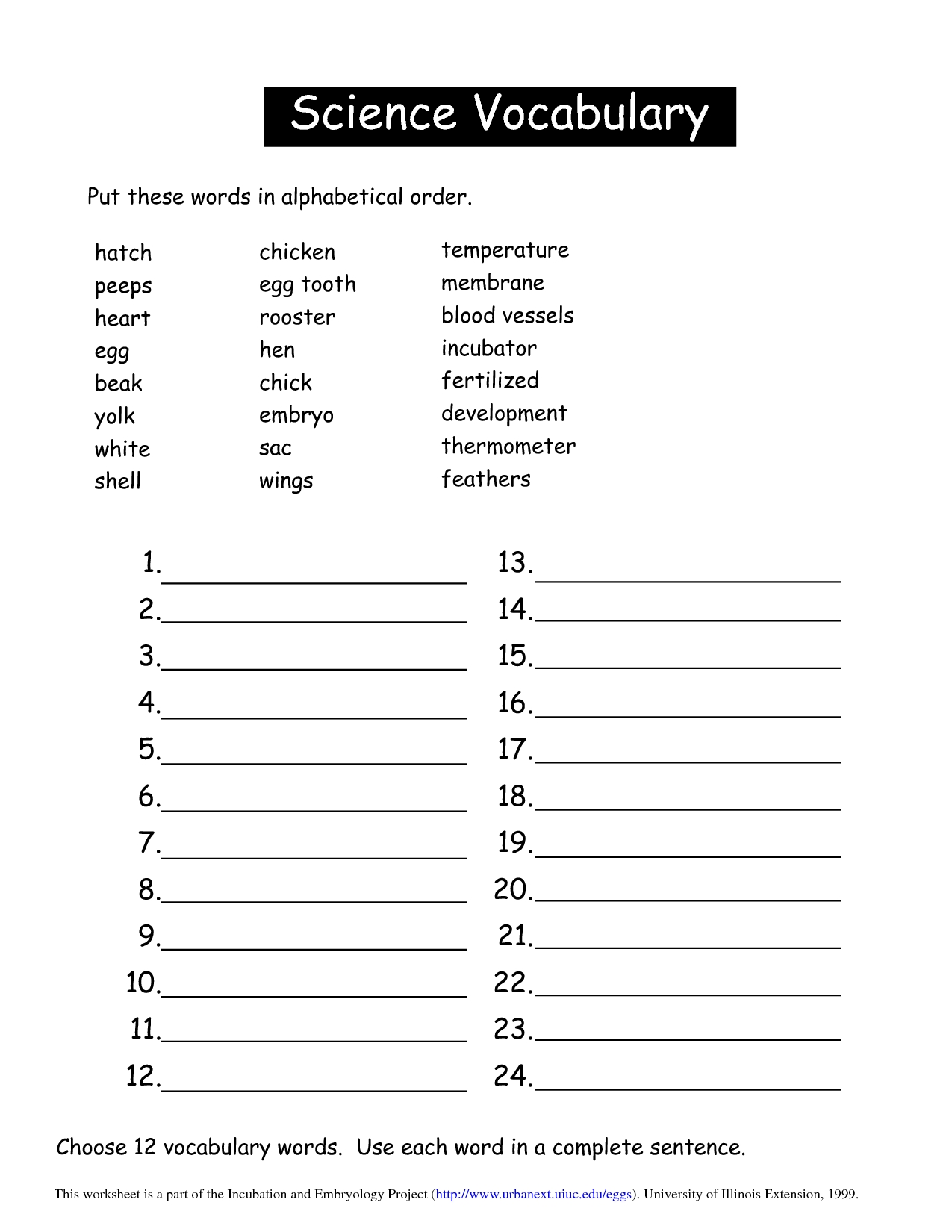 Fun Kindergarten Science Worksheets for Little Learners