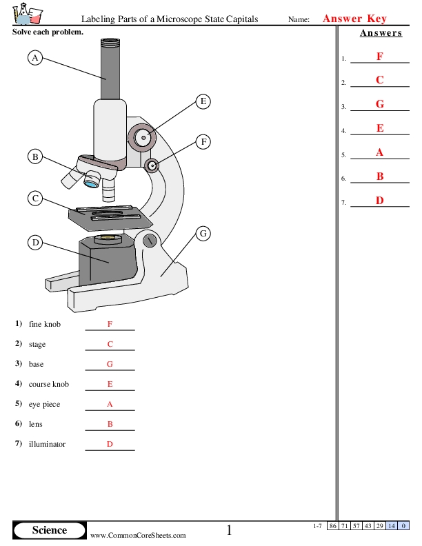 Label a Microscope Worksheet Anatomy Guide