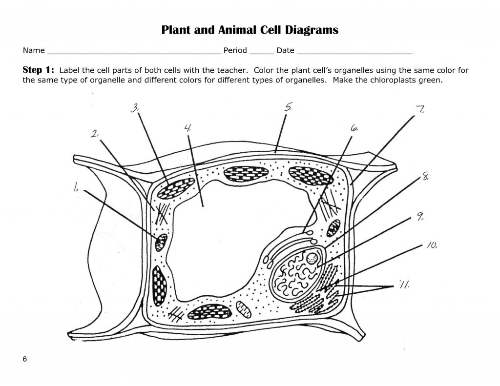 10 Ways to Label a Plant Cell Worksheet