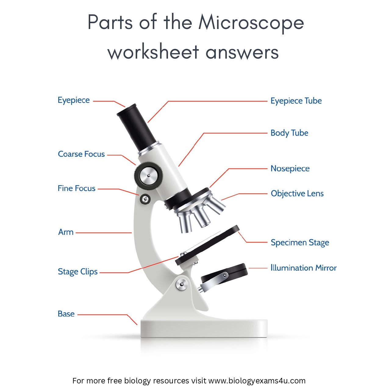 Label Microscope Worksheet Answers