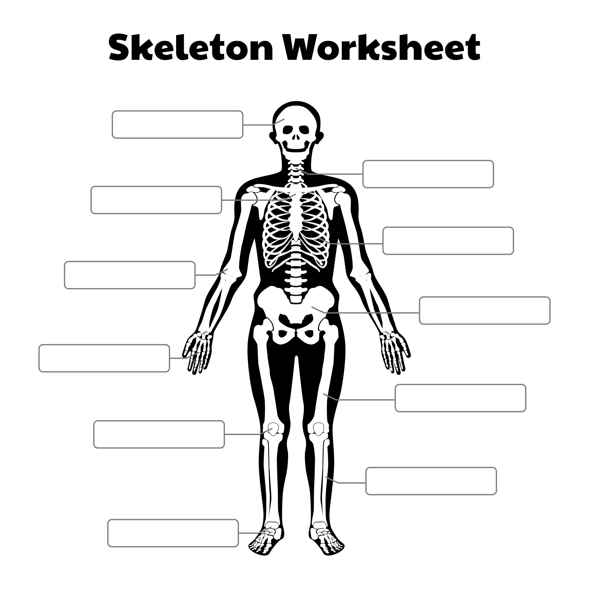 10 Ways to Master the Skeleton Worksheet