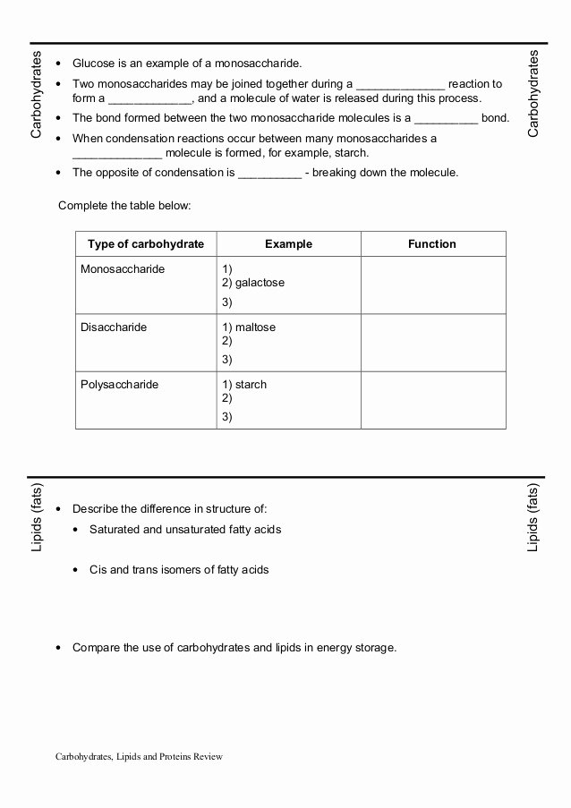 5 Tips to Master Lipids Worksheet Answer Key