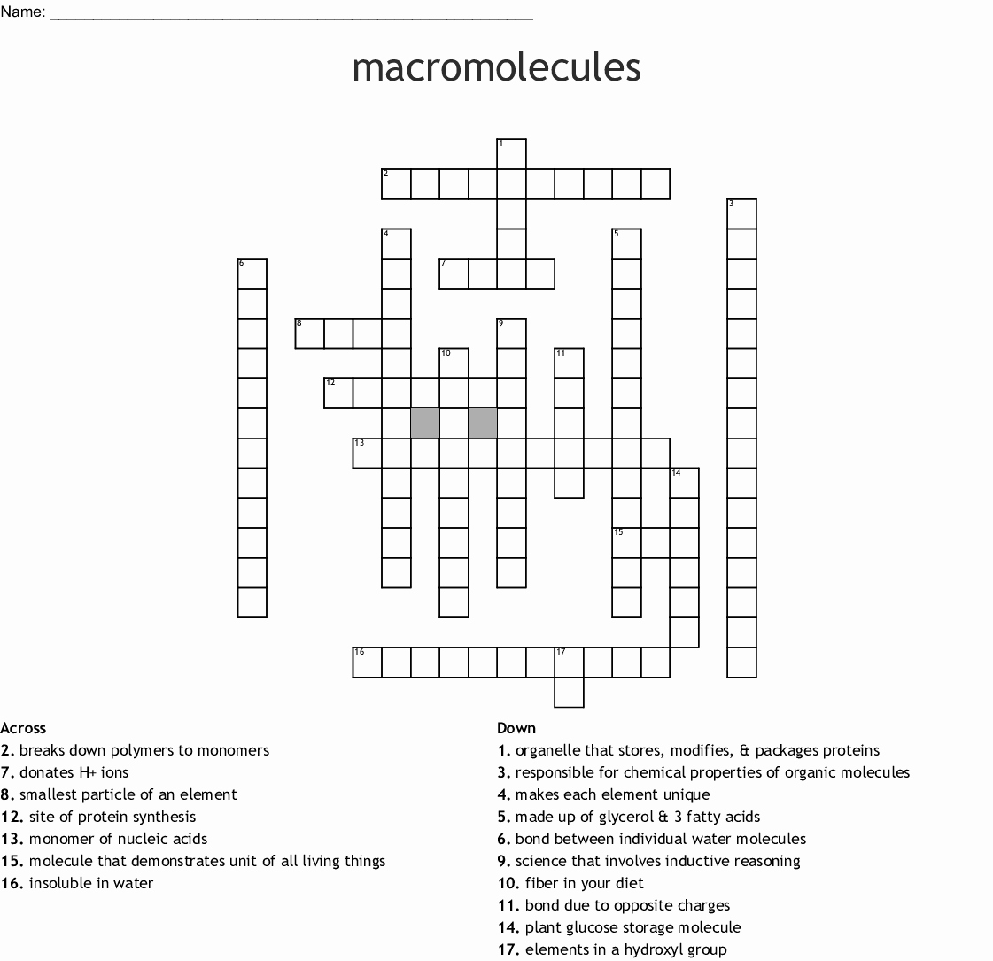 Macromolecule Worksheet Answer Key