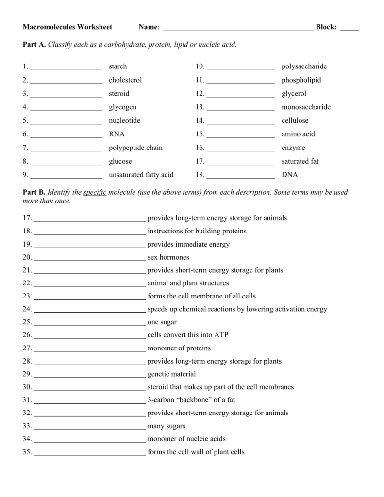 Macromolecules Worksheet #2 Answer Key