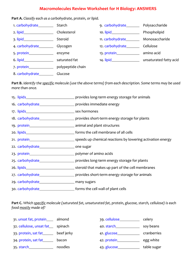 Macromolecules Worksheet 2 Biyology Db Excel Com