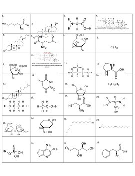 5 Key Answers for Macromolecules Worksheet