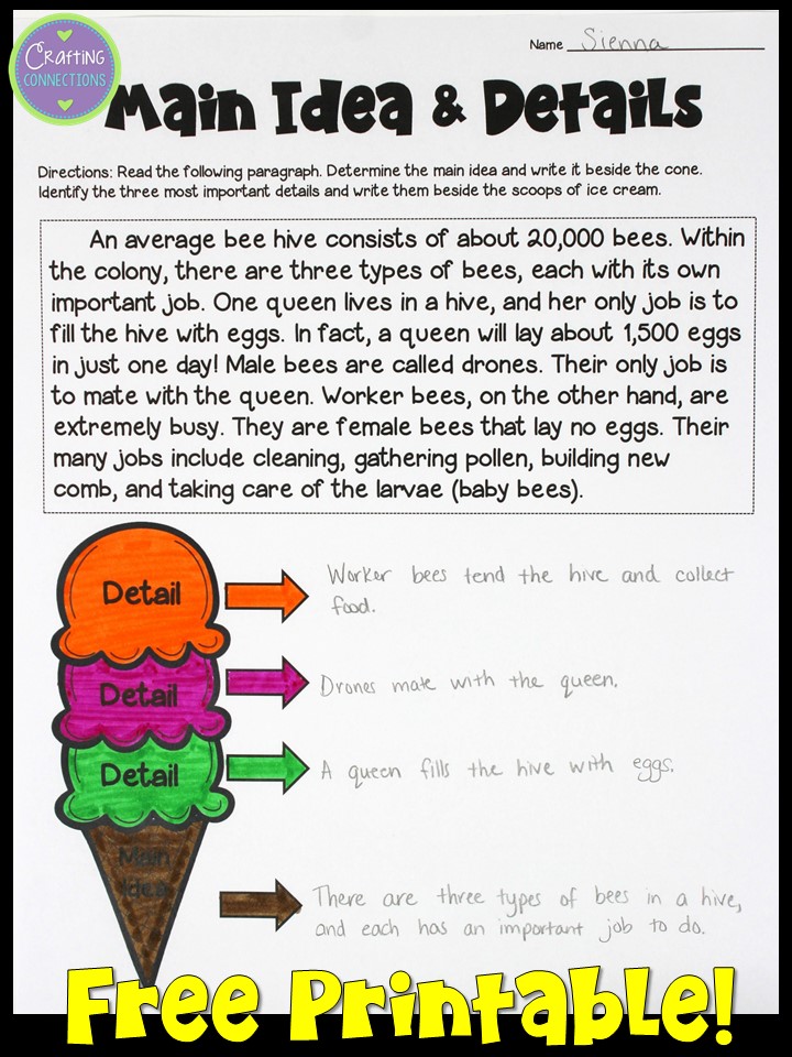 Main Idea And Details Worksheet Grade 5