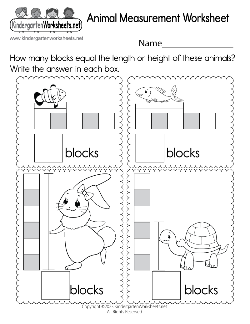 5 Fun Measurement Activities for Kindergarten