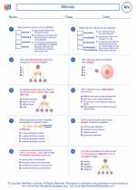 Meiosis High School Biology Worksheets And Answer Keys Vocabulary Sets