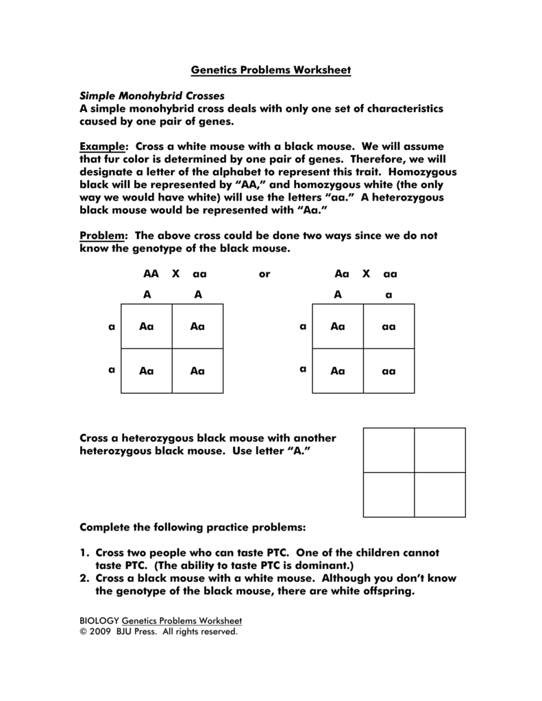 Mendelian Genetics Worksheet Answer Key