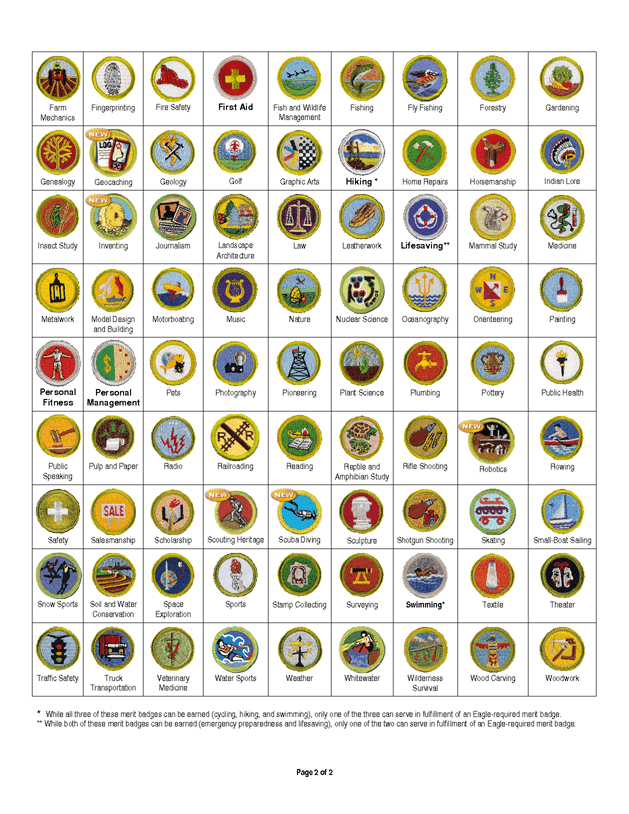 Merit Badge Worksheets Pdf