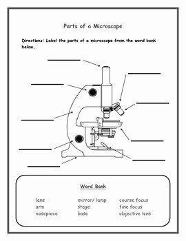 Microscope Parts And Use Worksheet Imsyaf Com