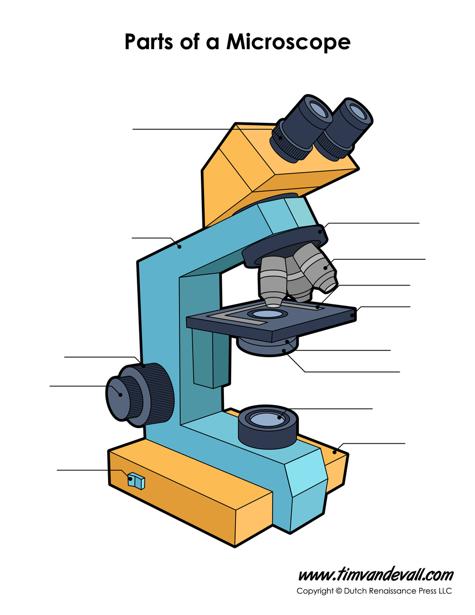 7 Ways to Ace Your Microscope Worksheet Answers