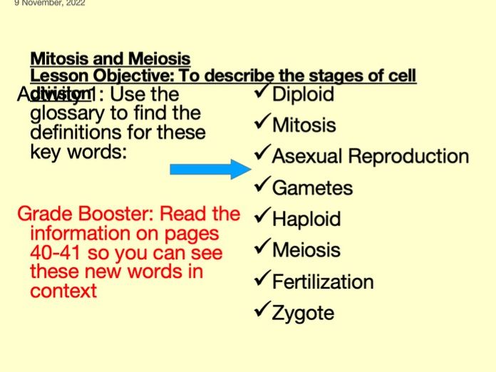 5 Essential Steps to Master Mitosis and Meiosis