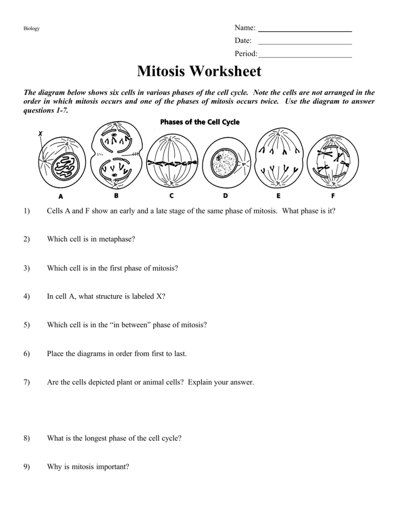 5 Ways to Master Mitosis Practice