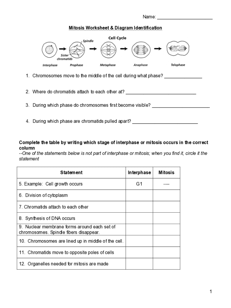 6 Ways to Master Mitosis Diagram Identification