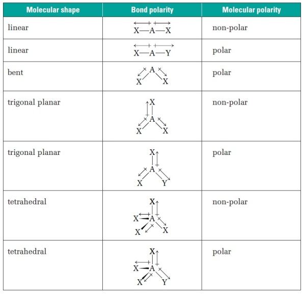 Molecular Geometry Worksheet Worksheet