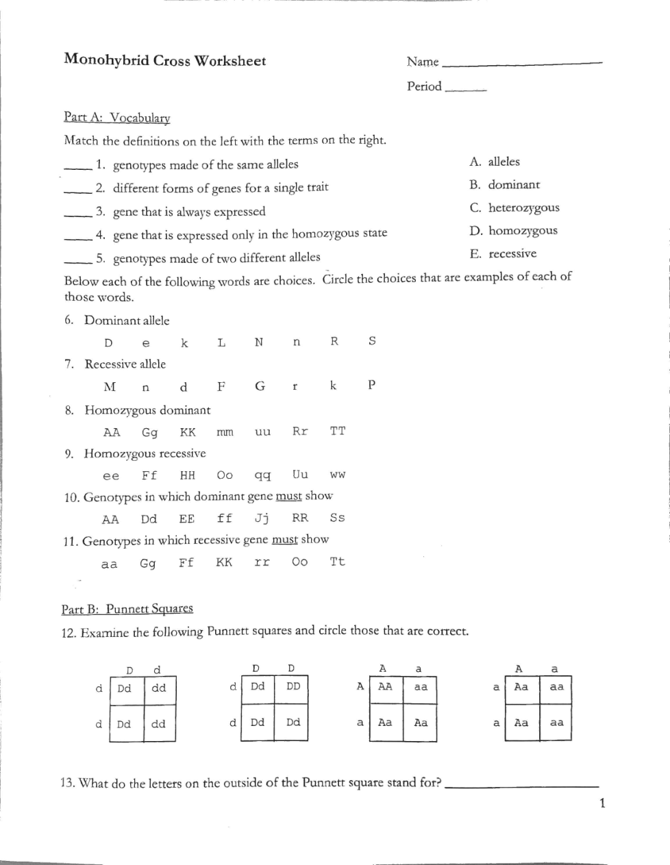 Monohybrid Cross Worksheet Answers E Street Light