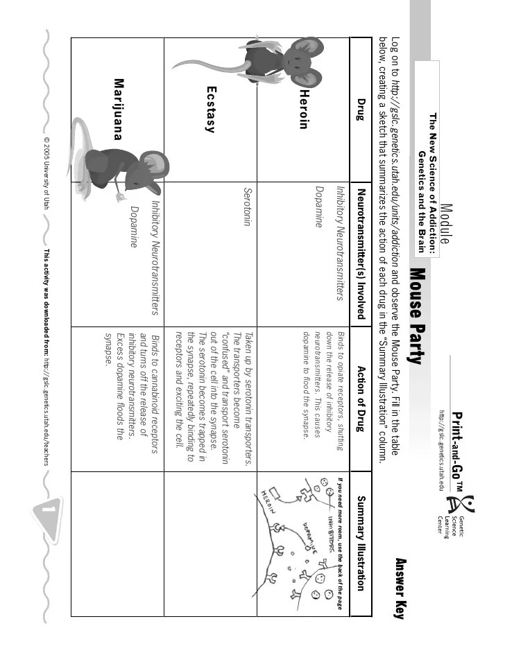 Mouse Party Drugs Worksheet Answer