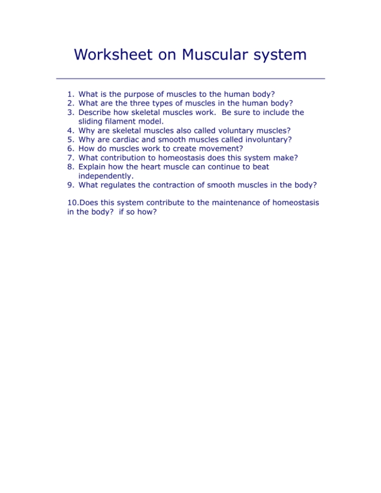 Muscle System Worksheet Answers Guide