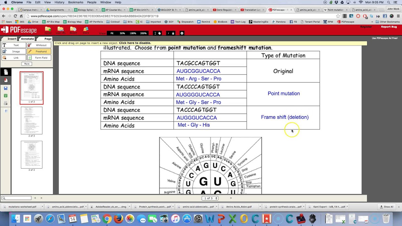 Mutation Worksheet Answers Key Guide