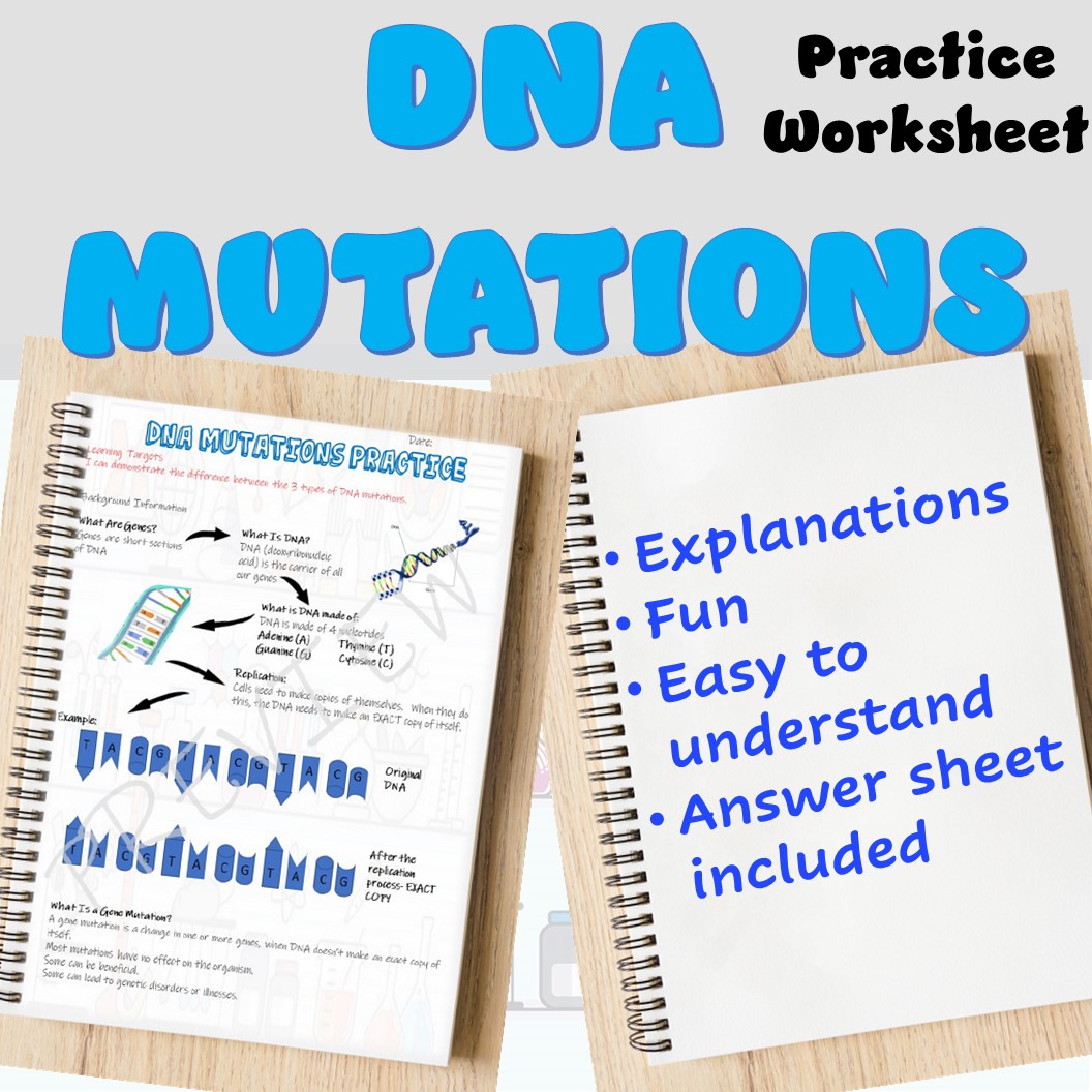 Mutations Practice Worksheet Answers and Examples