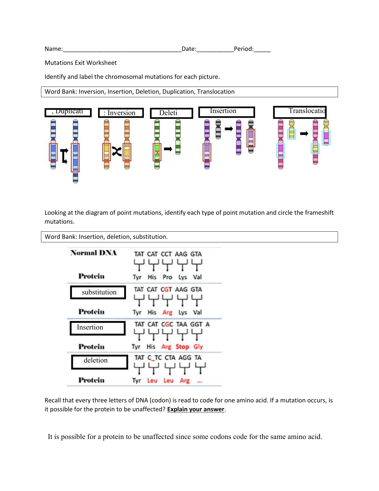 Mutations Worksheets Part 1 Gene Mutations