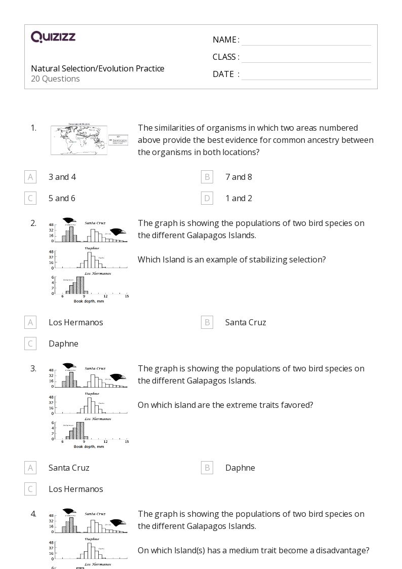 Natural Selection Worksheet