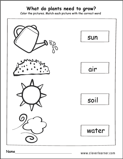 Needs Of Plants Kindergarten Worksheets Preschool Parenting Science Children Plants