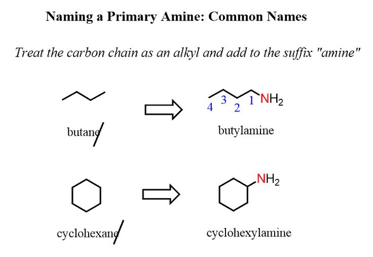 Mastering Nomenclature Worksheet 3: A Step-by-Step Guide