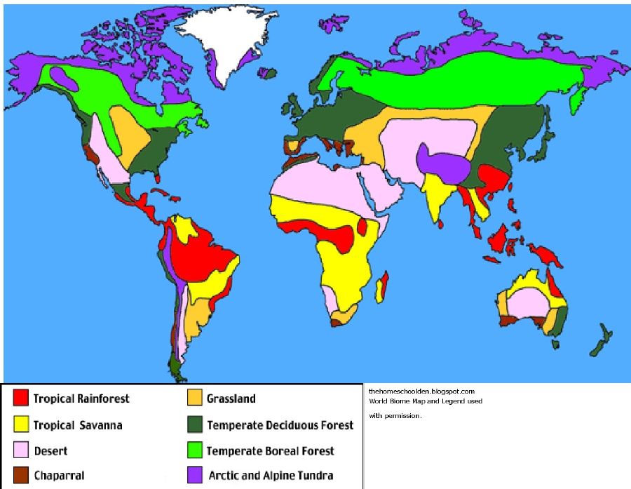 5 North America Biomes You Need to Know