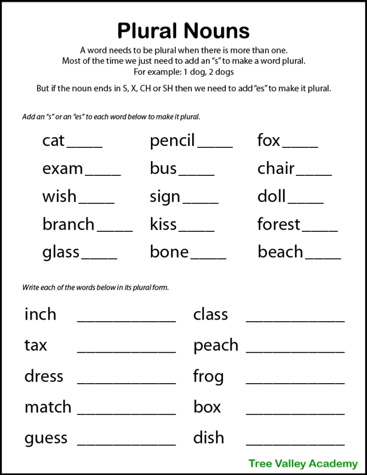 Nouns Singular and Plural Worksheets for Kids