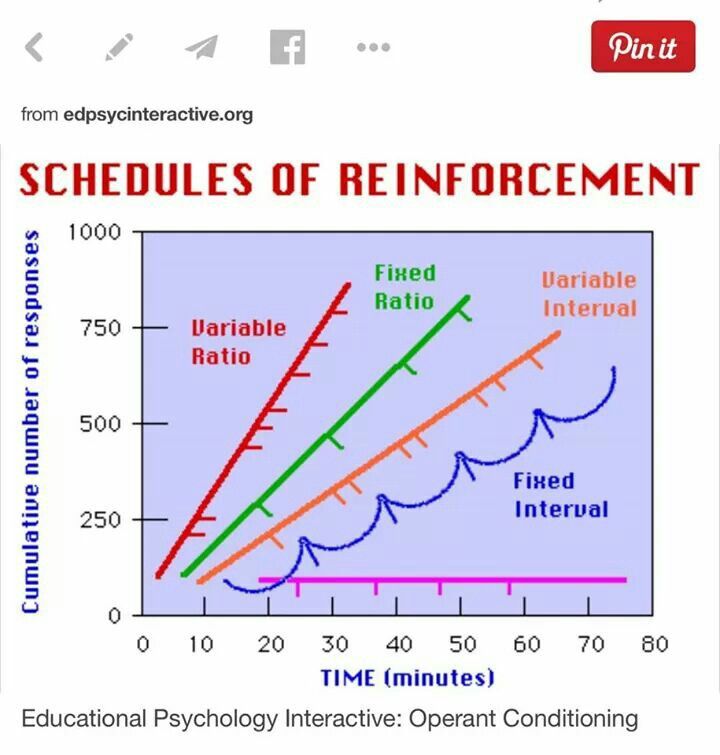 5 Operant Conditioning Worksheet Answers