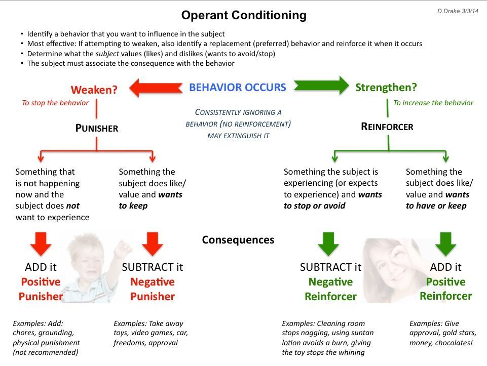 5 Operant Conditioning Examples You Need to Know