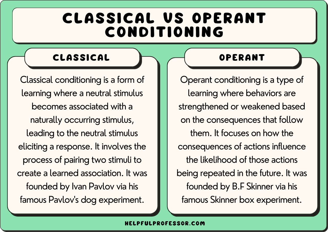 Operant Conditioning Made Easy: A Beginner's Worksheet Guide