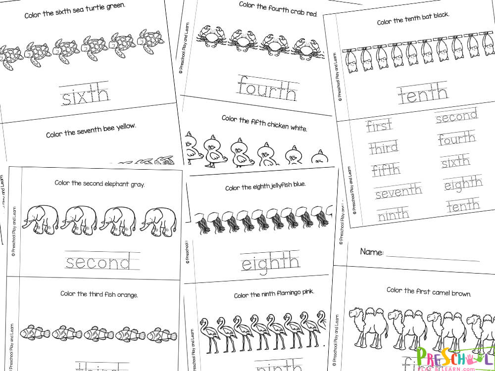 Ordinal Numbers Worksheet For Grade 2