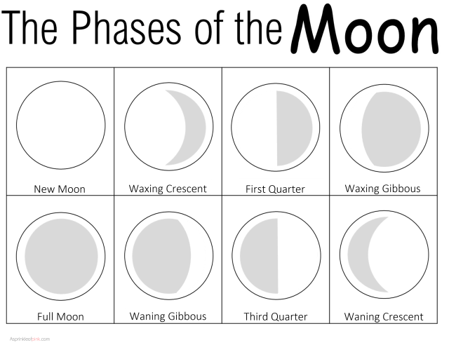 3 Fun Ways Oreo Cookies Teach Moon Phases