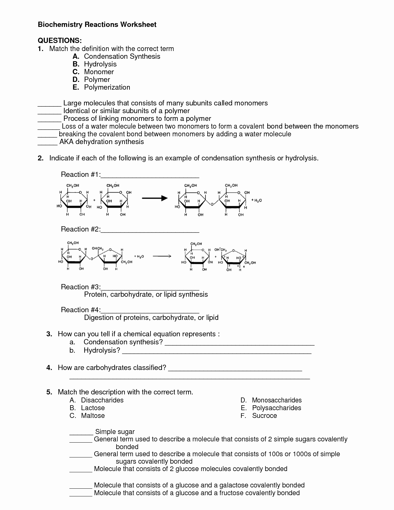 Organic Molecules Worksheet Review Answer Key