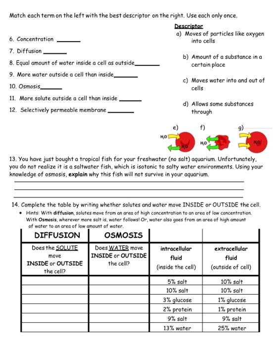 Osmosis and Diffusion Worksheet: Learn and Practice