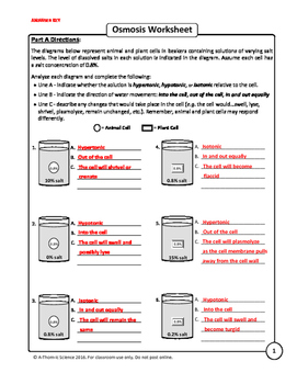 Osmosis and Tonicity Worksheet Answers Made Easy