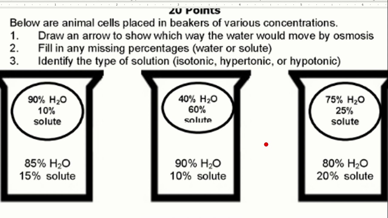 Osmosis and Tonicity Worksheet Answers and Study Guide