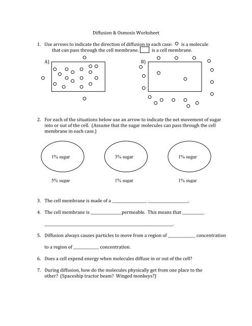 Osmosis Worksheet Answer Key Explained