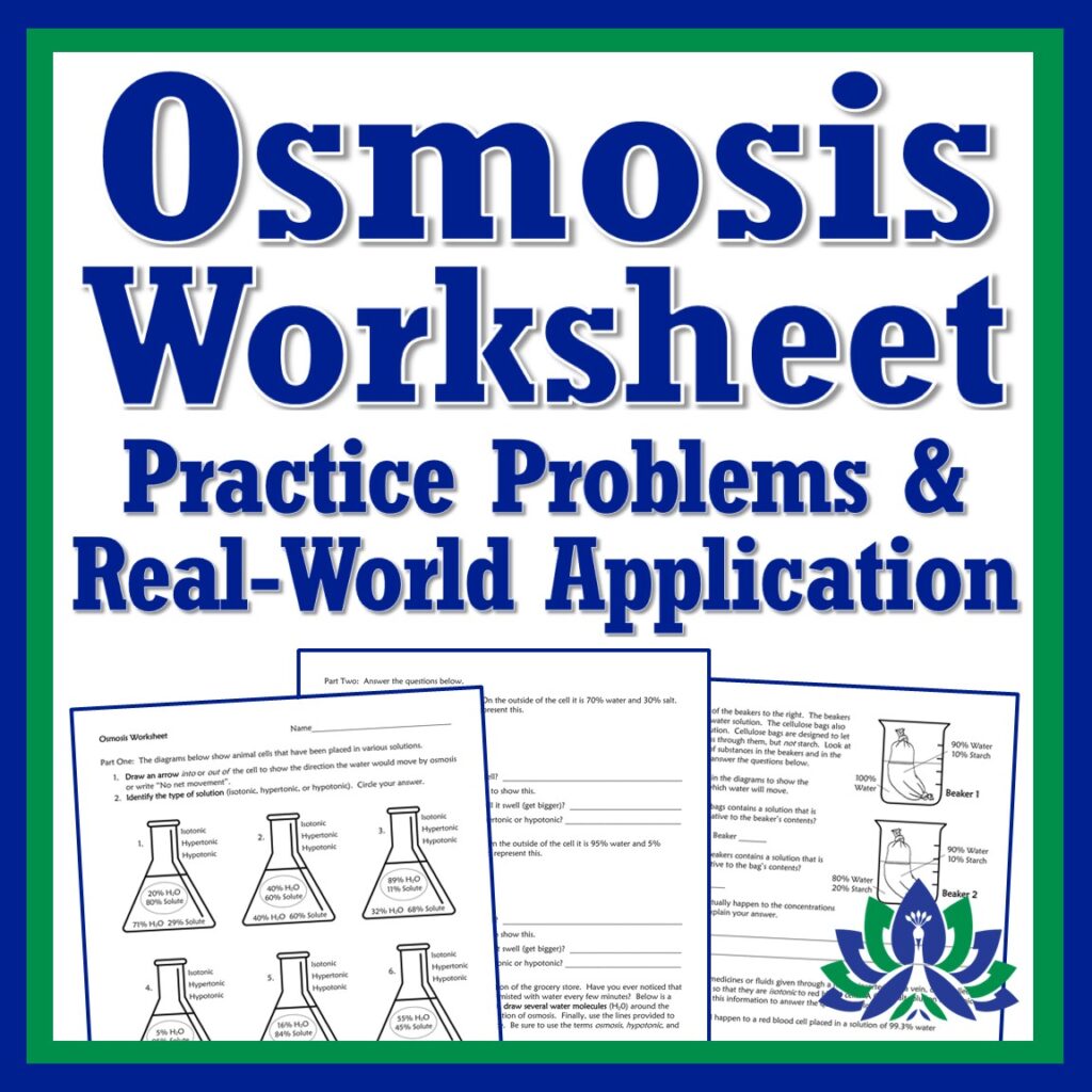 Osmosis Worksheet Flying Colors Science