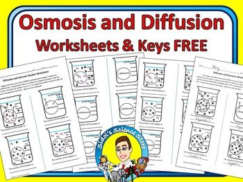 Osmosis Worksheet Part 1 Answer Key Askworksheet