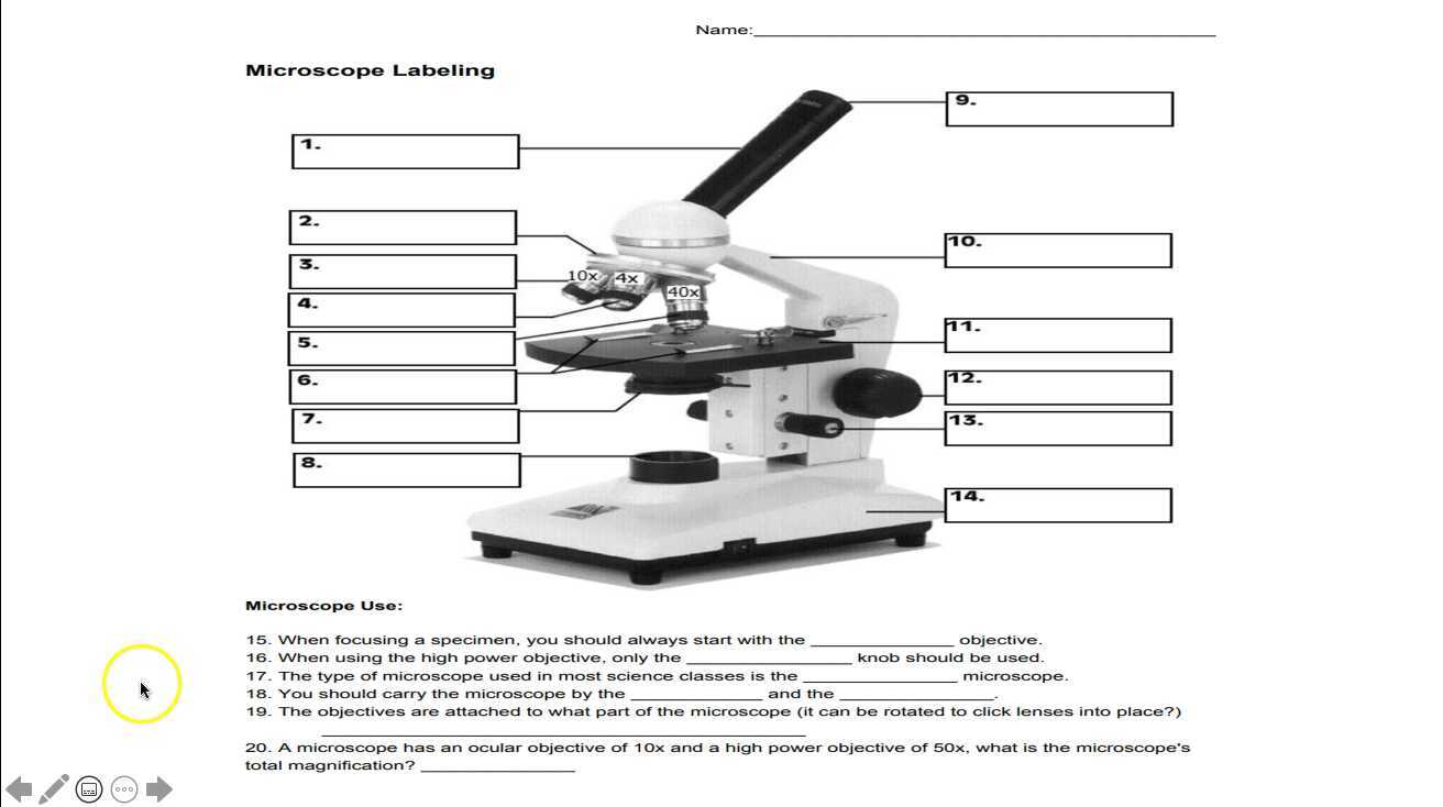 Parts Of A Microscope Labeled