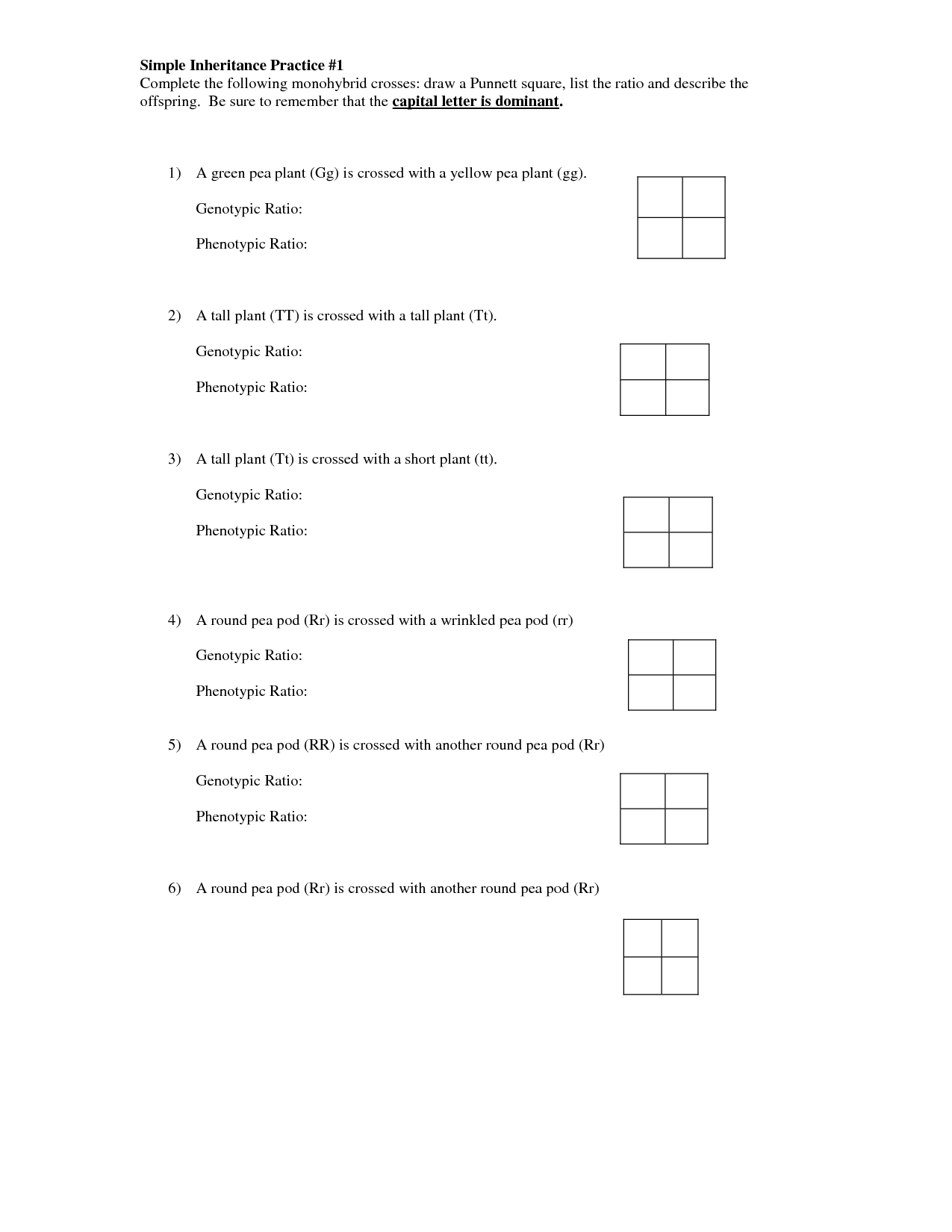 Pea Plant Punnett Square Worksheet Graphing Worksheets Worksheets For Kids Dihybrid Cross