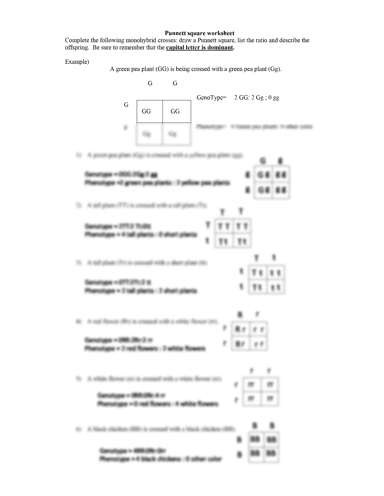 Pea Plant Punnett Square Worksheet Made Easy