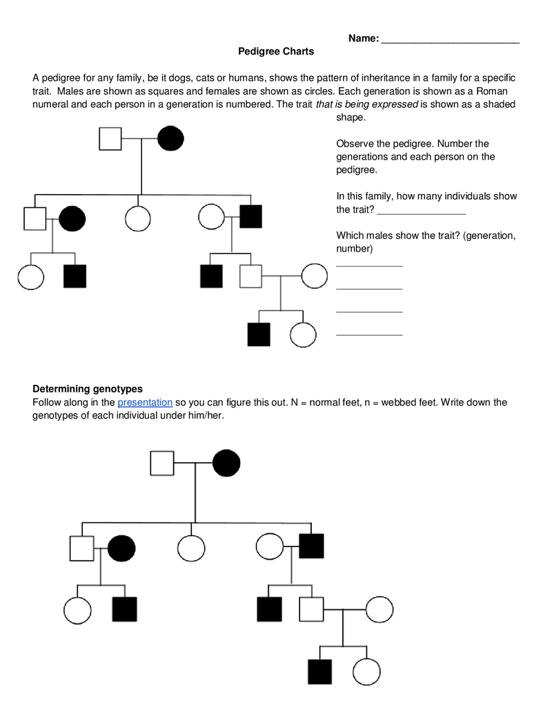 5 Tips for Mastering Pedigree Practice Worksheets